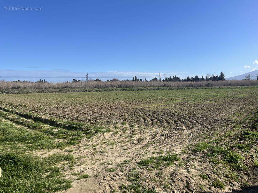 Terrain à ELNE
