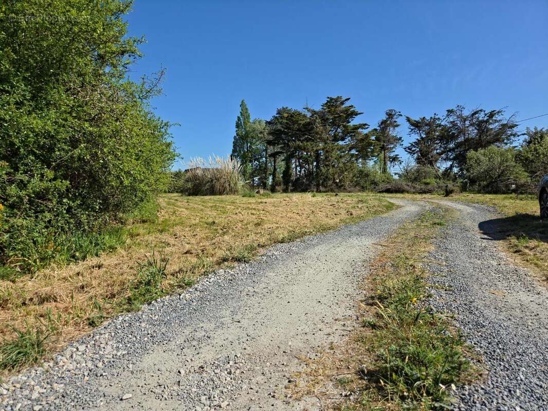 Photo 2 - Terrain à LE TOUR-DU-PARC