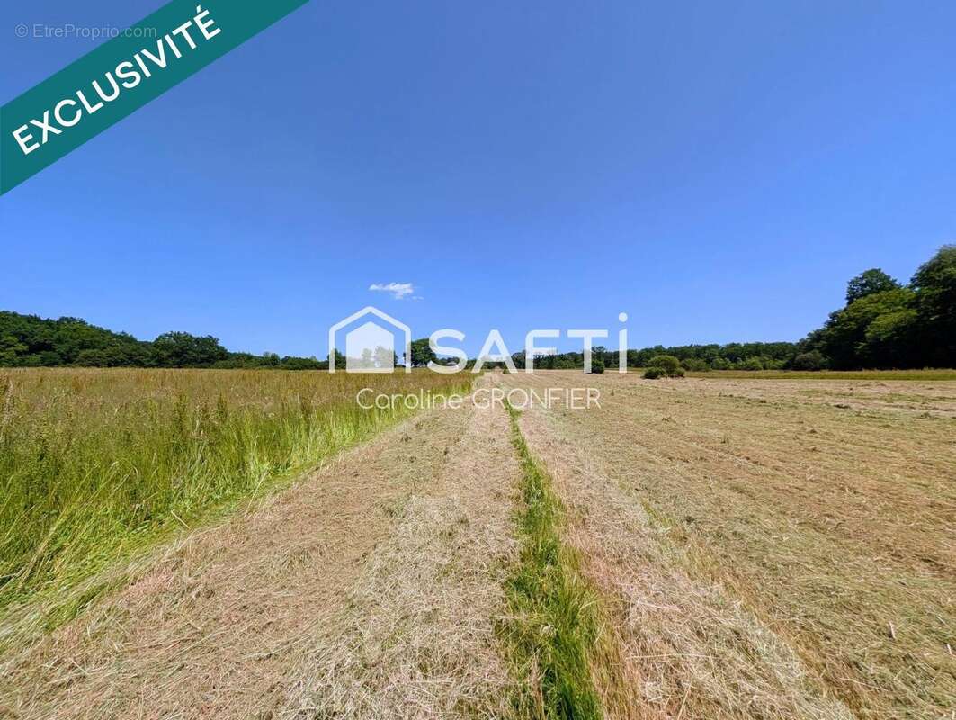 Maison 380 m² à Gilly-Sur-Loire  - photo 8