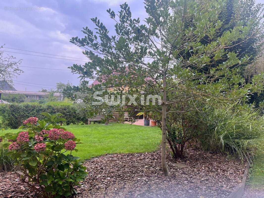 Maison à HORBOURG-WIHR