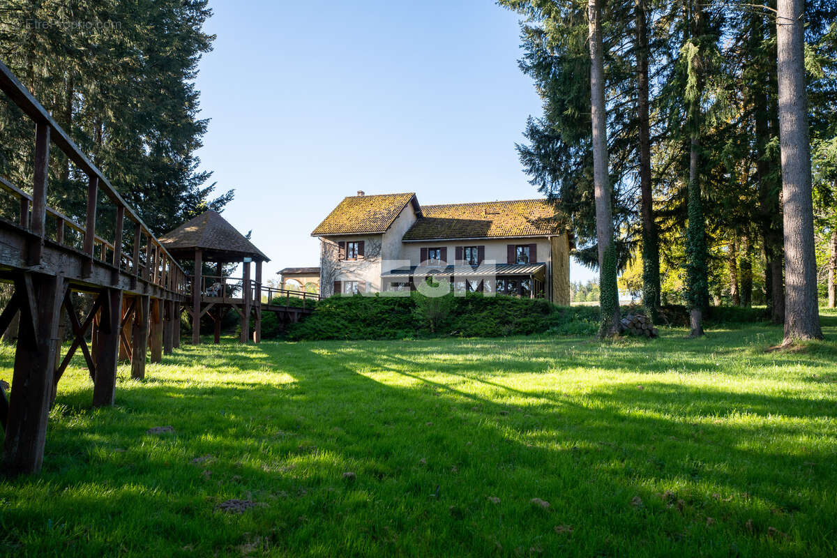 Domaine d’exception de 54,5 hectares avec maison de 300 m2, étang privé, piscine et 1 500 m2 de dépendances - photo 5