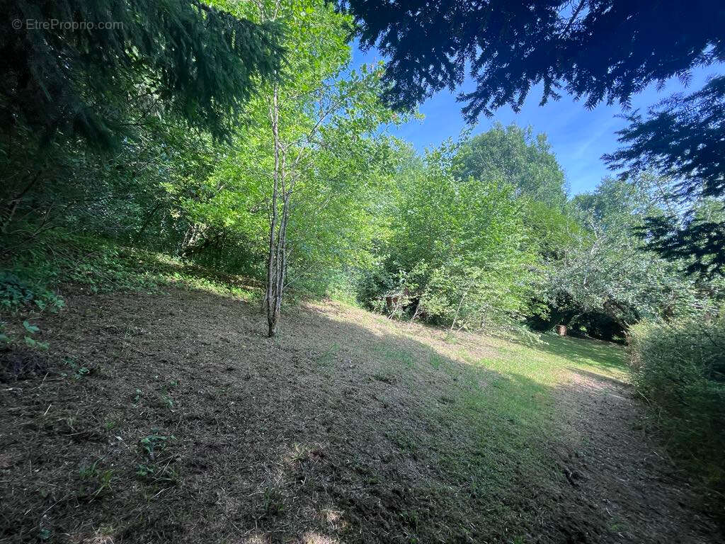 Maison à VILLERS-COTTERETS