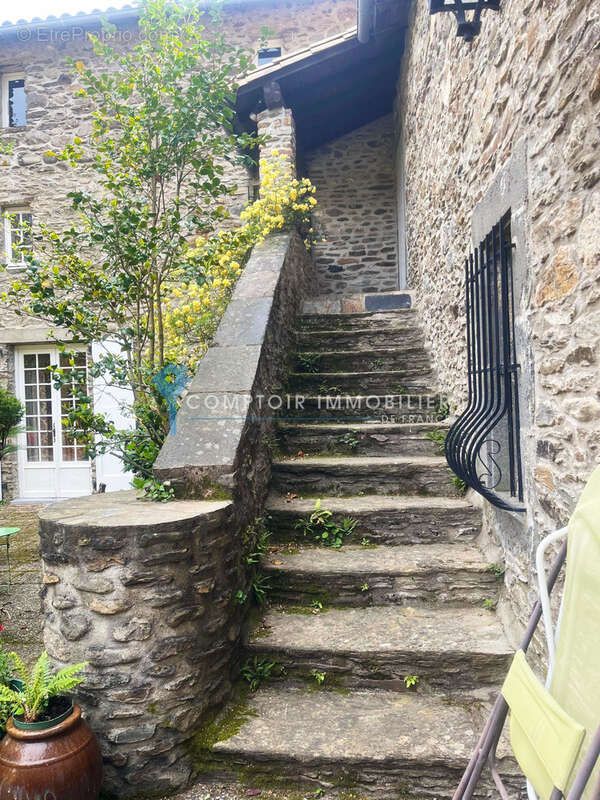L'élégance du temps - photo 3