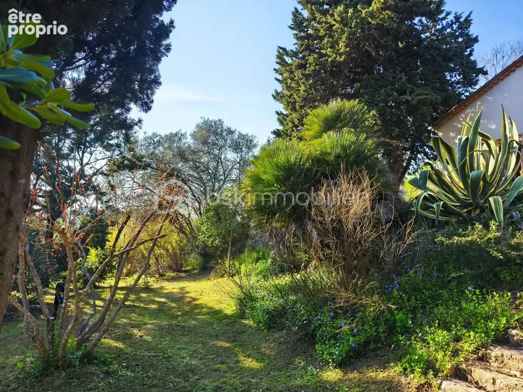 Domaine en mediterranee 2 hectares - photo 9