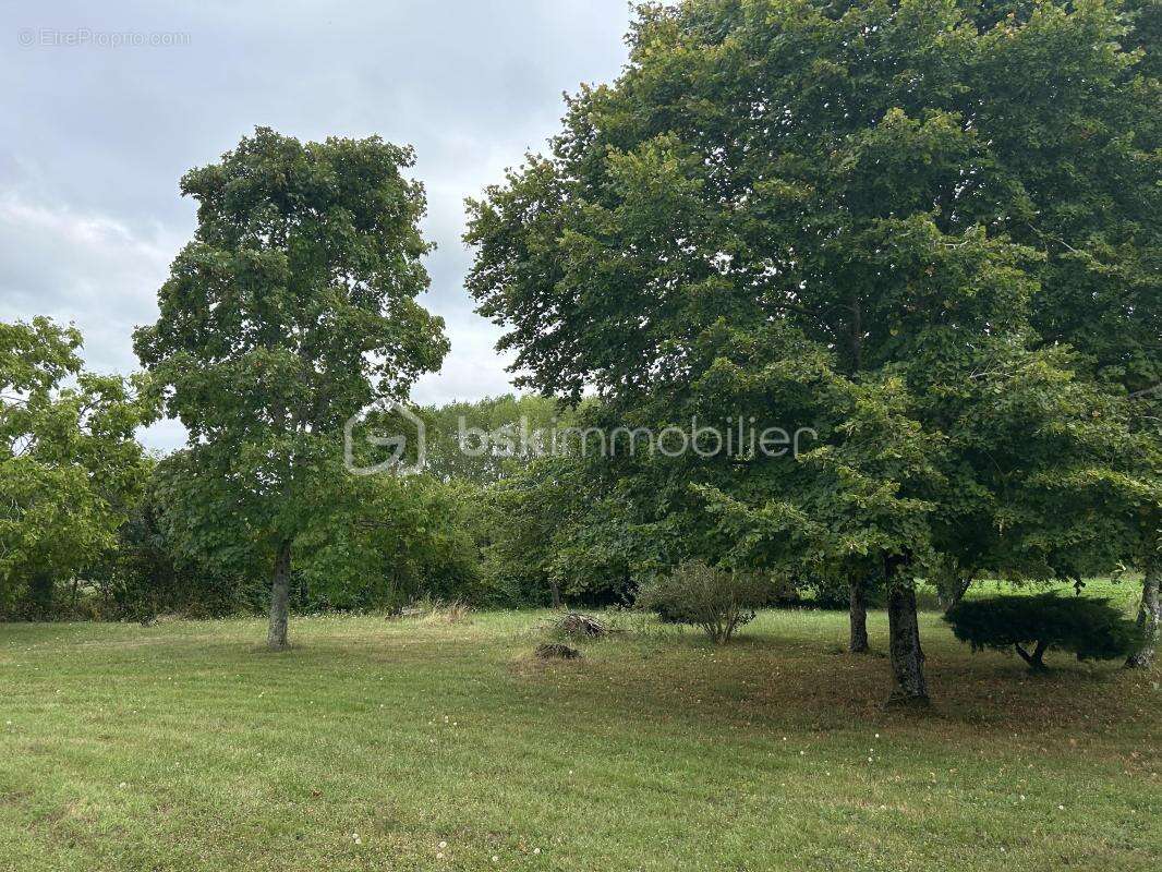 Maison à VILLECOMTAL-SUR-ARROS