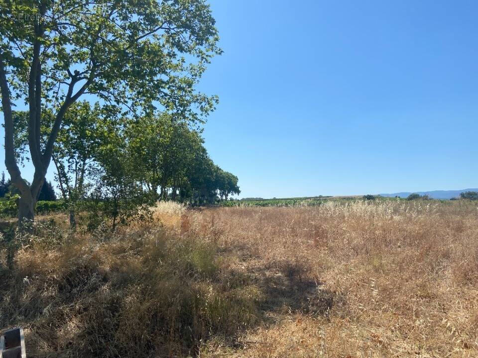 Terrain à OLONZAC