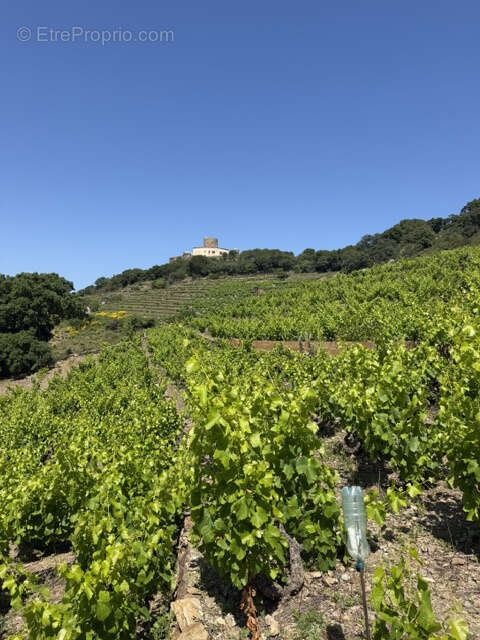 Terrain à COLLIOURE
