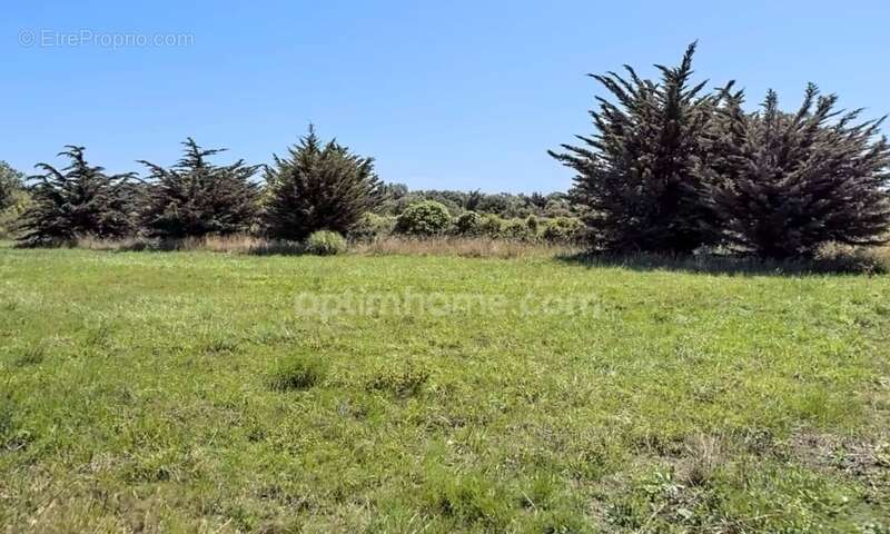 Terrain à SAINT-DENIS-D&#039;OLERON