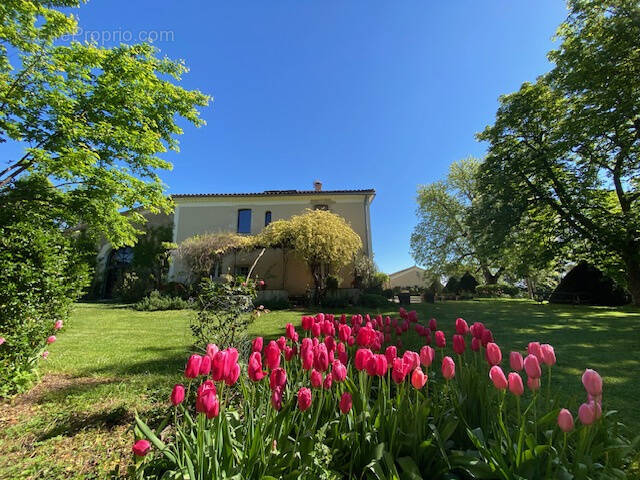 Maison à AUCH