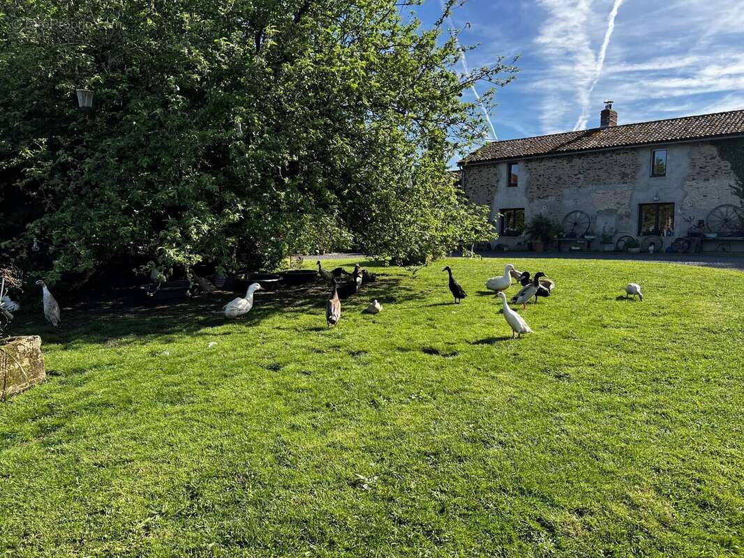 Ferme et domaine équestre avec 4 maisons et plus de 24 ha de terres et de pâturages - photo 17