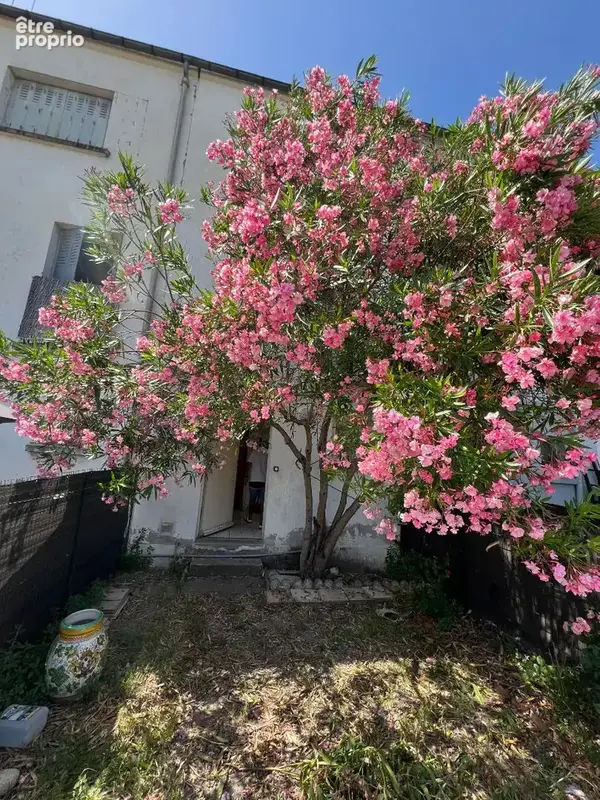 LIMOUX Maison  2 chambres et jardinet - photo 3