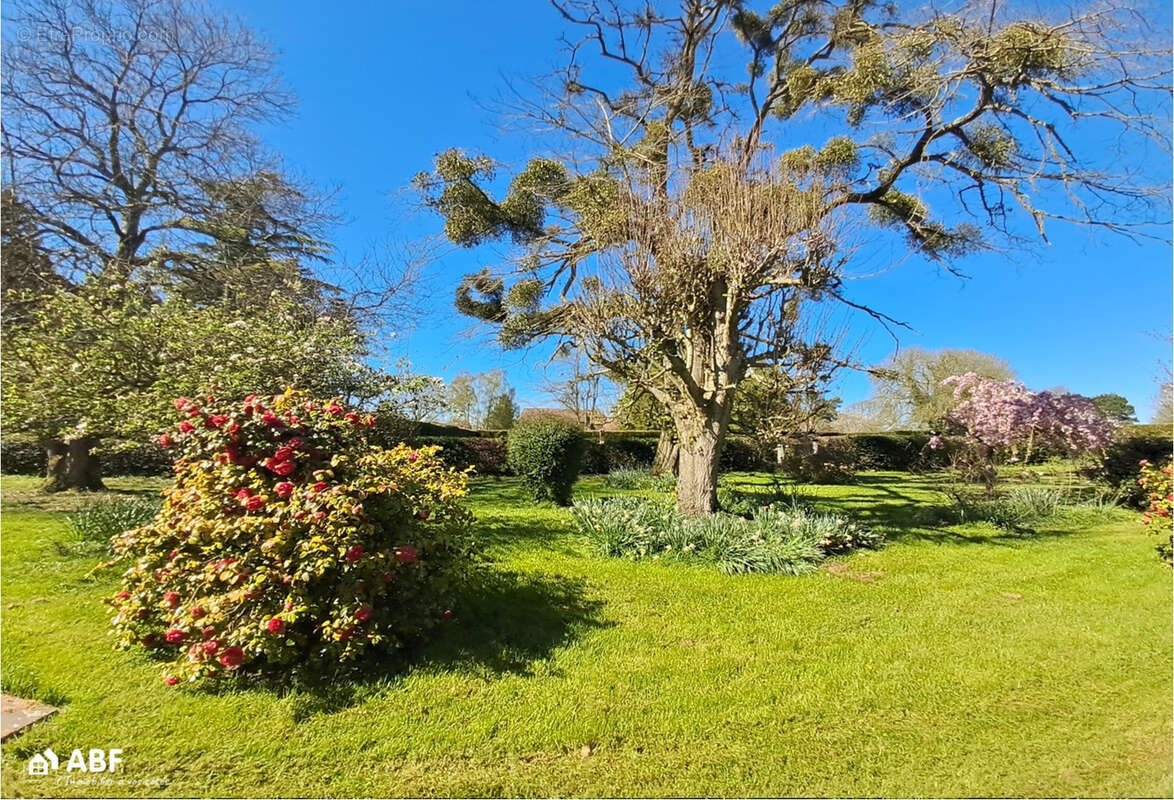 Maison à LES GRANDES-VENTES