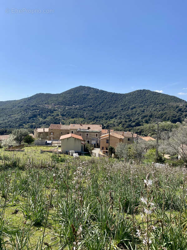 Terrain à PROPRIANO