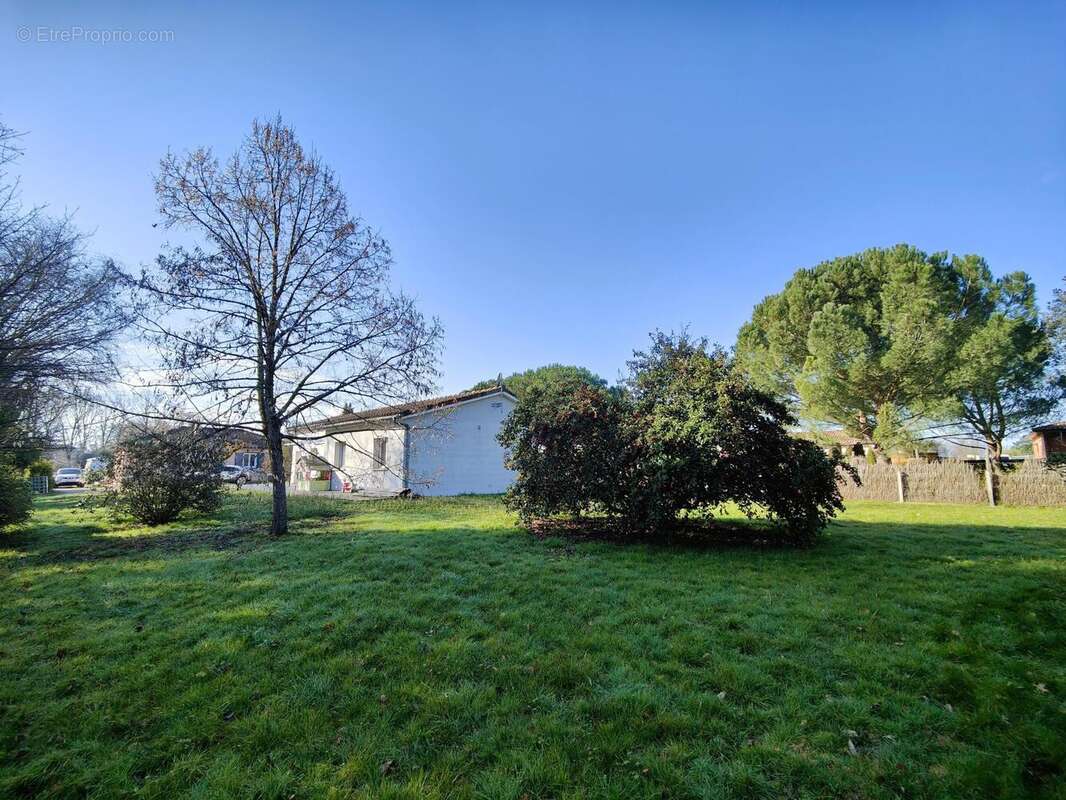 Photo 2 - Maison à MONTAUBAN