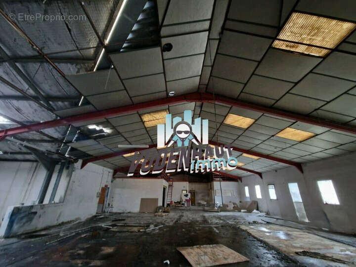 Commerce à TOURNEFEUILLE