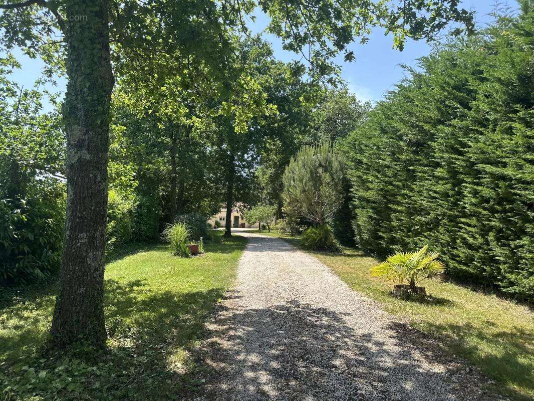À vendre : Maison de plain-pied avec piscine et grand terrain paysagé au Cellier - photo 13