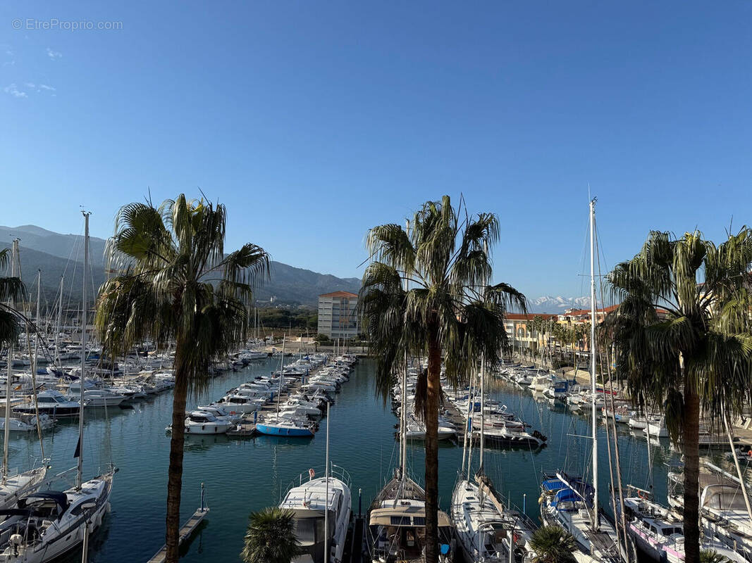 Photo 1 - Appartement à ARGELES-SUR-MER