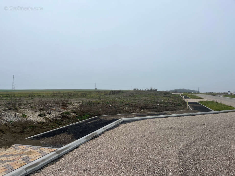 Terrain à VOLSTROFF