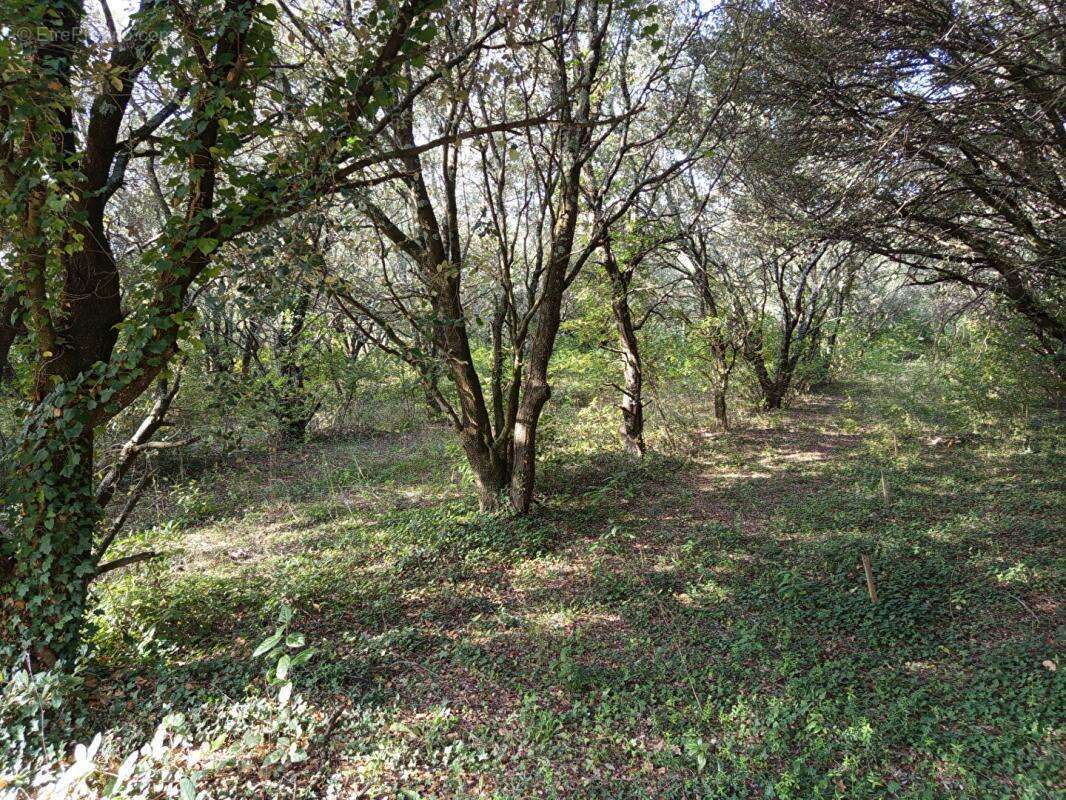 Maison à MONTSEGUR-SUR-LAUZON