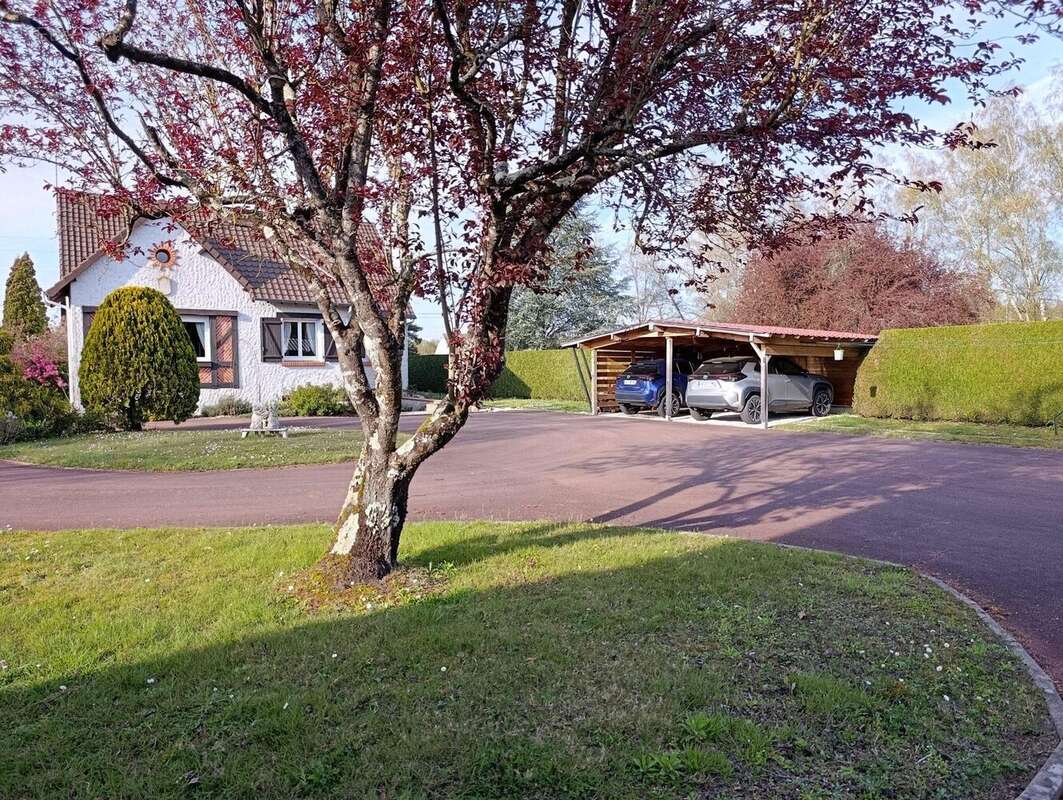 Vente maison Meusnes - Maison à SAINT-AIGNAN