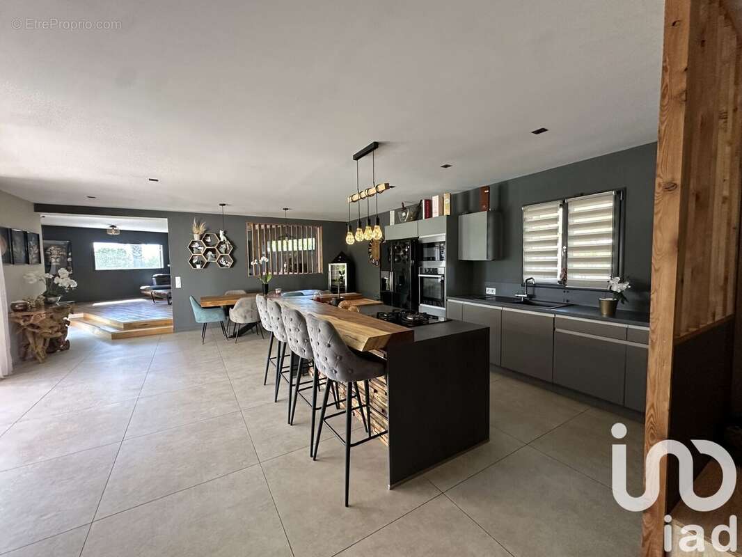 Photo 6 - Maison à PUGET-SUR-ARGENS