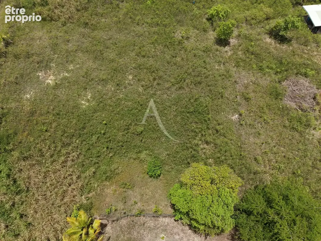 Grand terrain de 1 520 m² au calme - photo 2