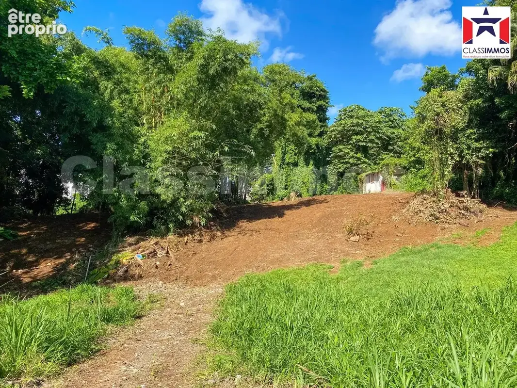 Terrain 1 882 m² à vendre à Le Lamentin (97232) - photo 3