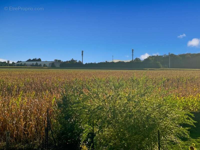 Maison à NEAUPHLE-LE-CHATEAU