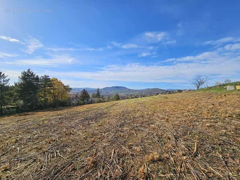 Terrain à VEYRE-MONTON