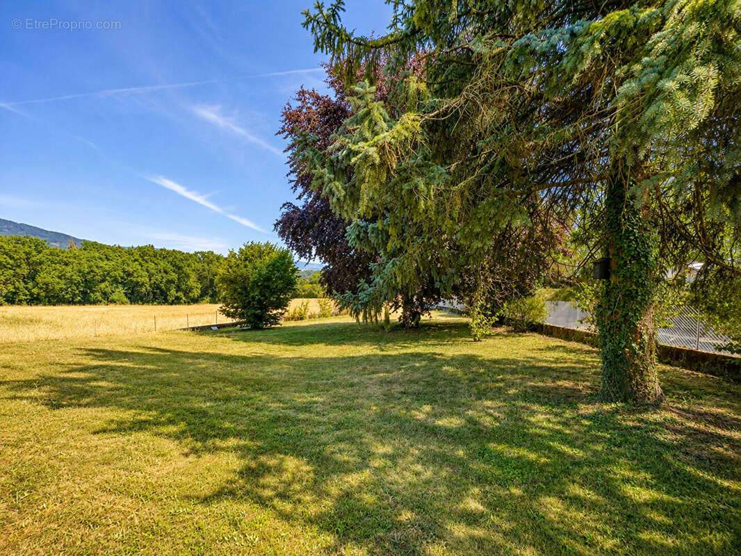 Maison individuelle à vendre 106 m², 3 chambres, sous-sol complet et terrain arboré de 2 000 m² - photo 3