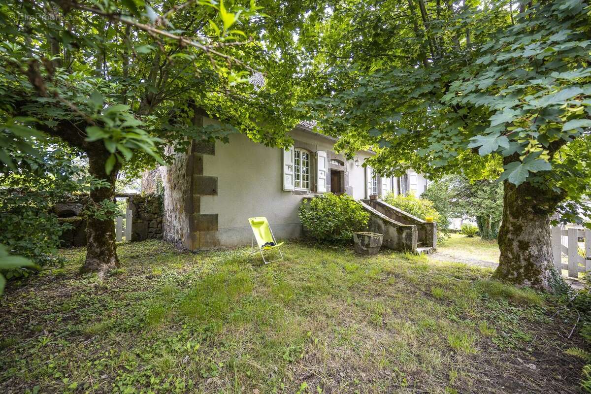 Maison 192 m² à Pleaux  - photo 4
