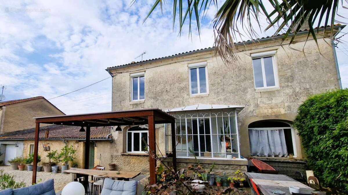 Ancien vignoble avec maison et dépendances - photo 13