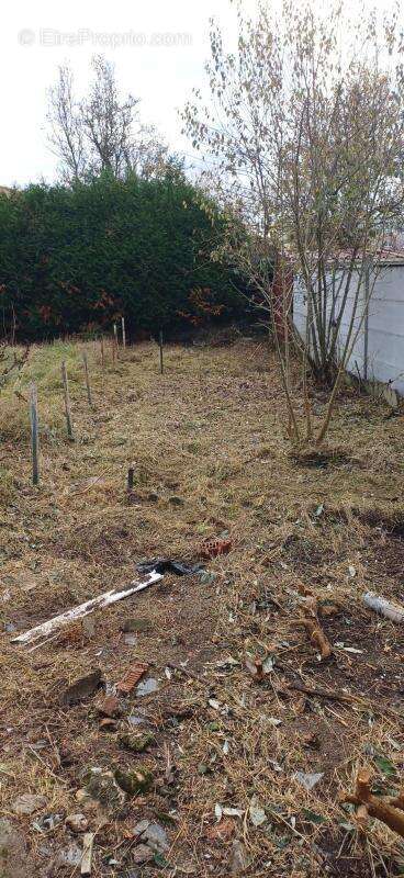 HENIN BEAUMONT  197 rue Berthie Albrecht - photo 3