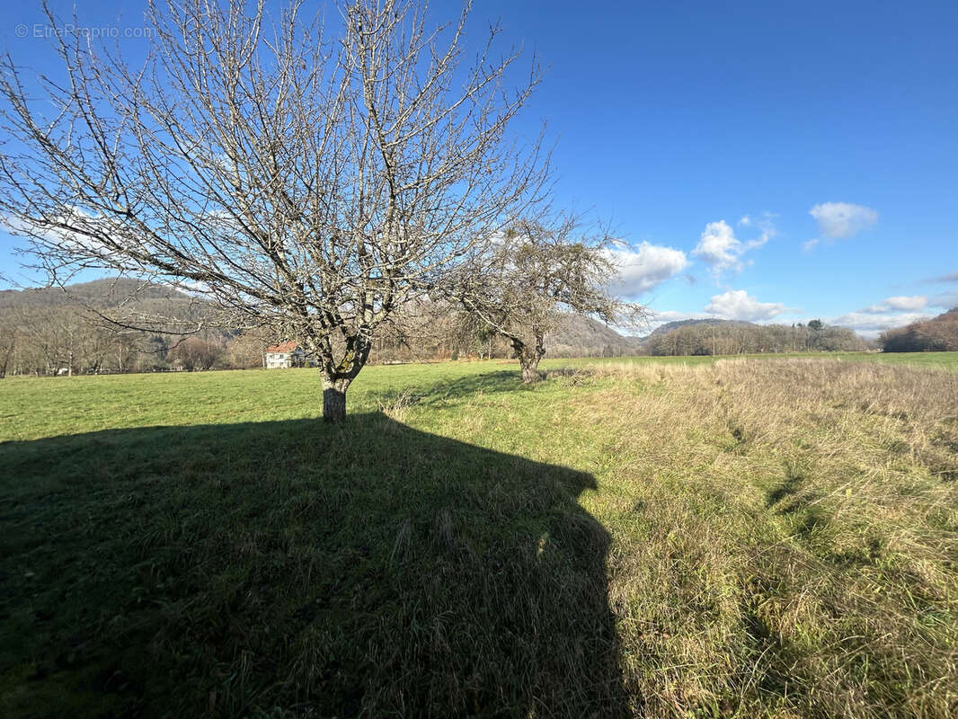 Maison à TERNUAY-MELAY-ET-SAINT-HILAIRE