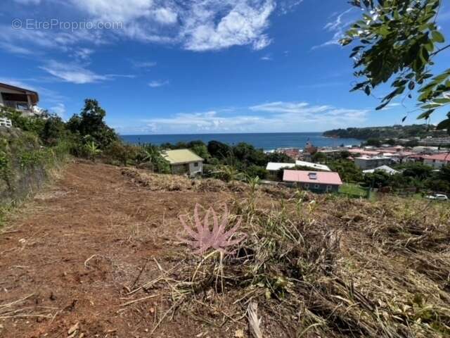 n°4 - Terrain à LE LORRAIN