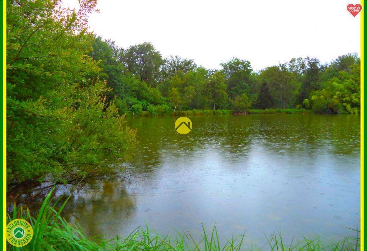 Maison à NEUVY-SUR-BARANGEON