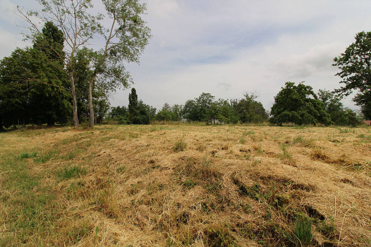 Terrain à PUELLEMONTIER