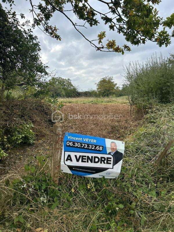 Terrain à BRAINS-SUR-GEE