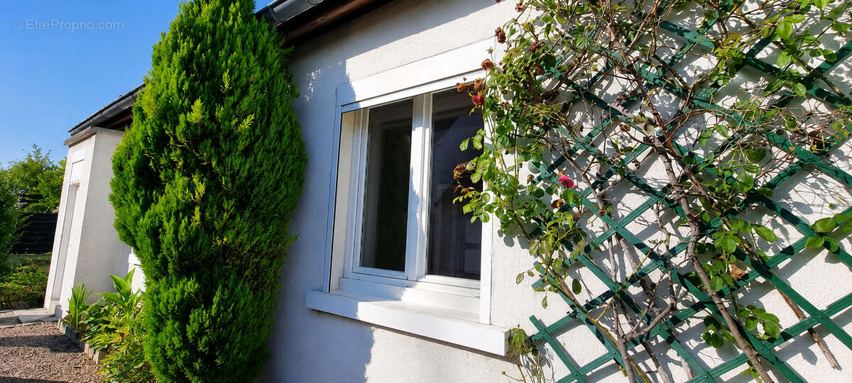 Maison de plain pied - photo 5