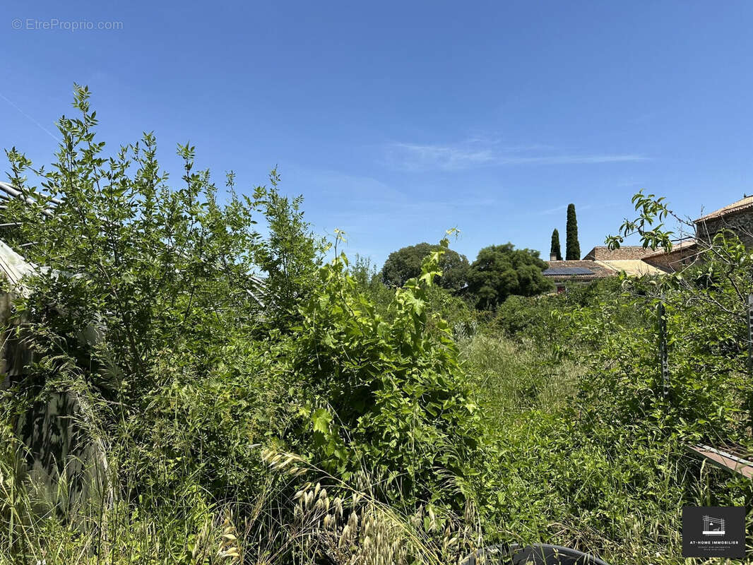 Terrain à SAINT-CHINIAN