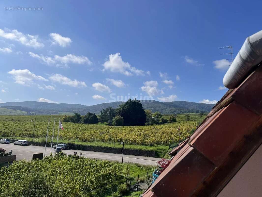 Appartement à RIBEAUVILLE