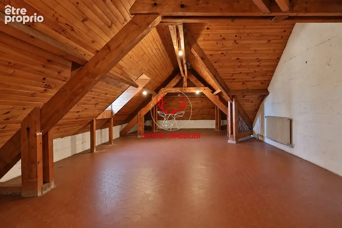 SAINT CYR AU MONT D'OR : Demeure familiale 300m2 avec Vue et terrain de 3200m2 - photo 9