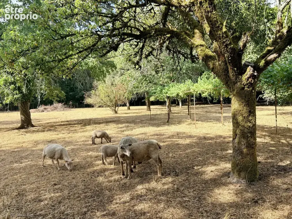 Très Beau Logis avec 6 chambres et Grand Terrain près de Ruffec - photo 47