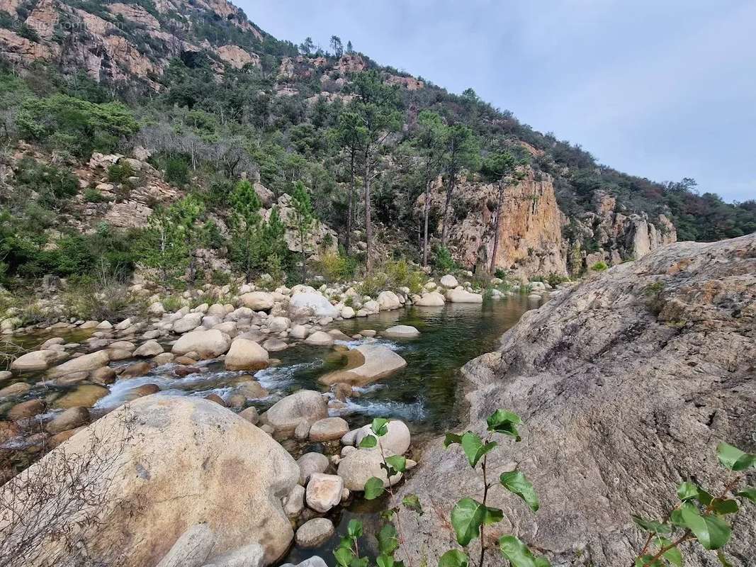 Maison à SARI-SOLENZARA