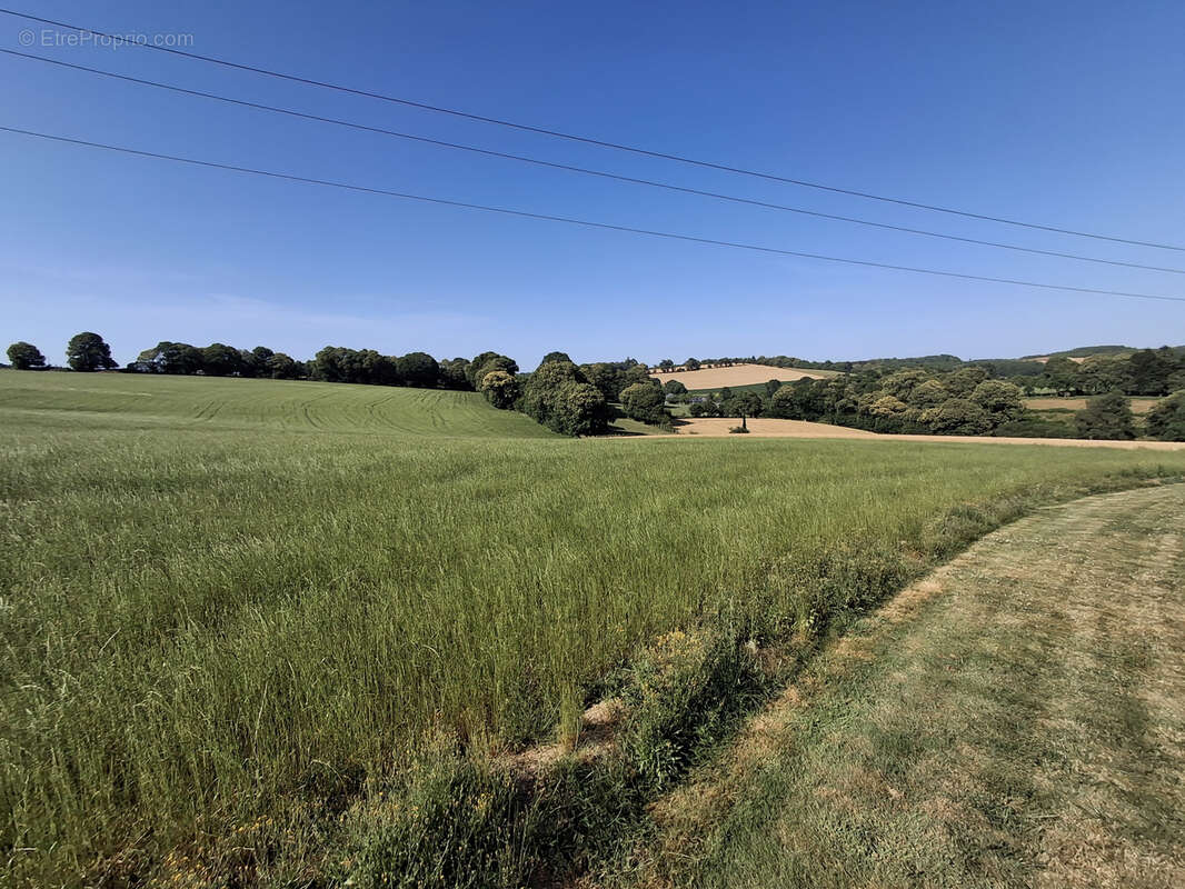À acheter à La Chapelle-Fleurigné : longère avec dépendance - photo 15
