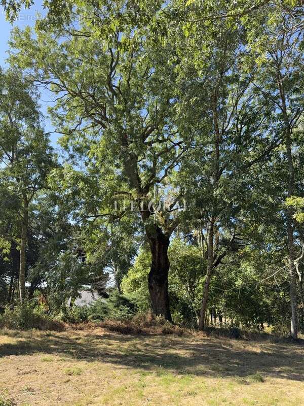 Propriété de caractère du XIXᵉ siècle au cœur d'un parc arboré, entre plages et golf - photo 46