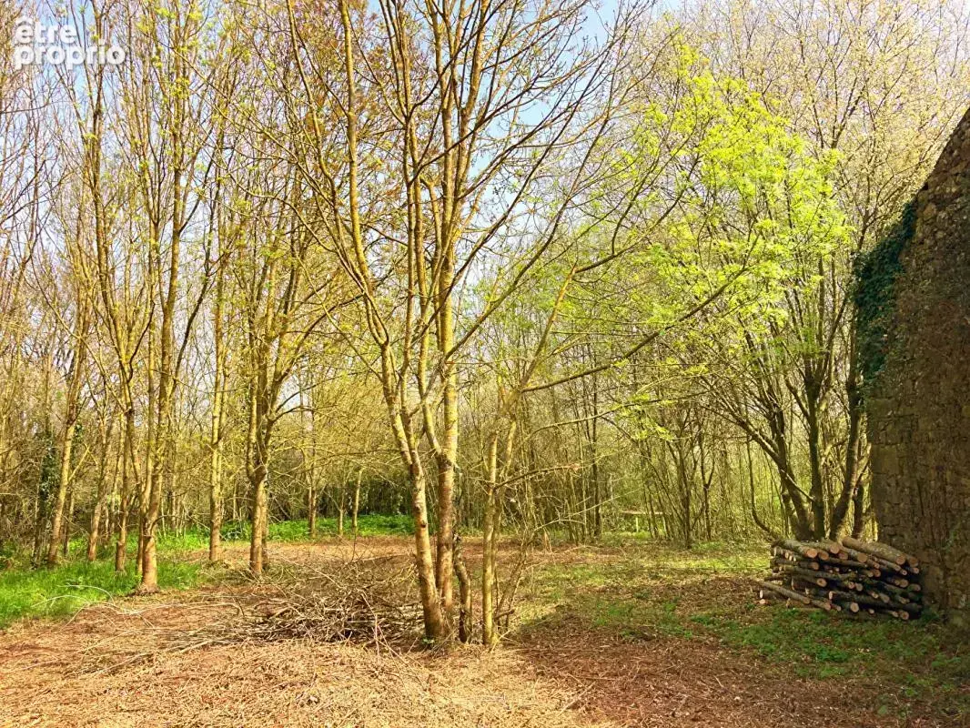 Ancienne grange et dépendances 180m2, sur terrain 2018m2 - photo 2