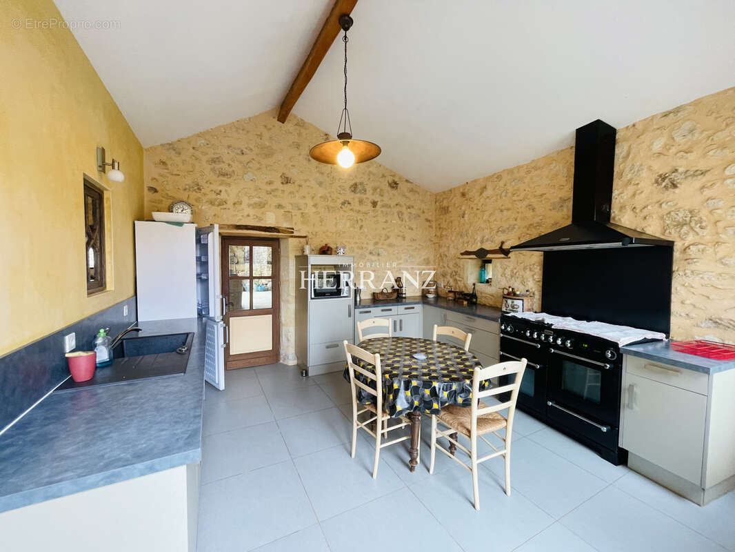 maison de 250m2, Gîte de 100m2, garage de 65m2, piscine, parc de 3200m2 - photo 4