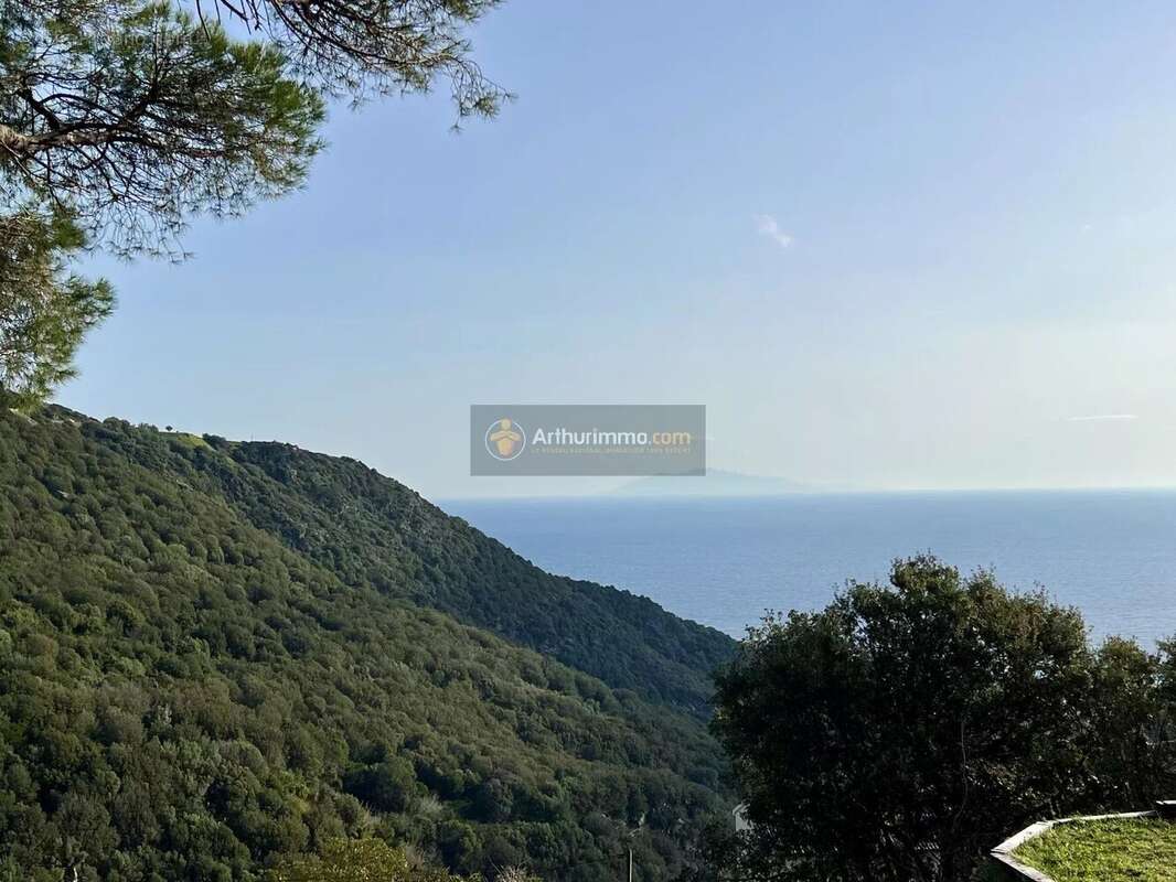 Maison à VILLE-DI-PIETRABUGNO