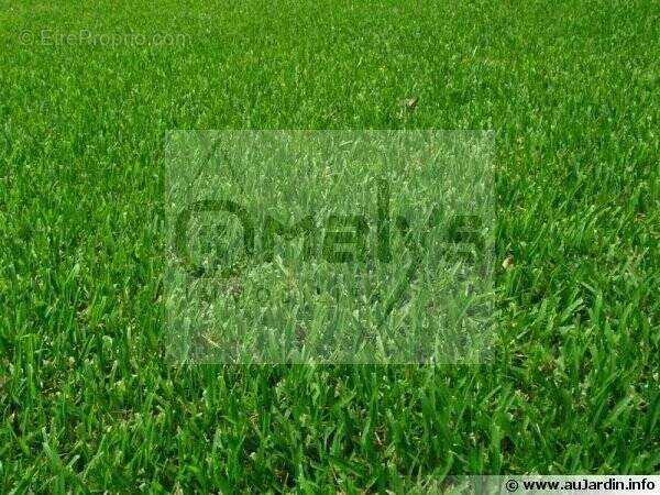 Terrain à AIRE-SUR-LA-LYS